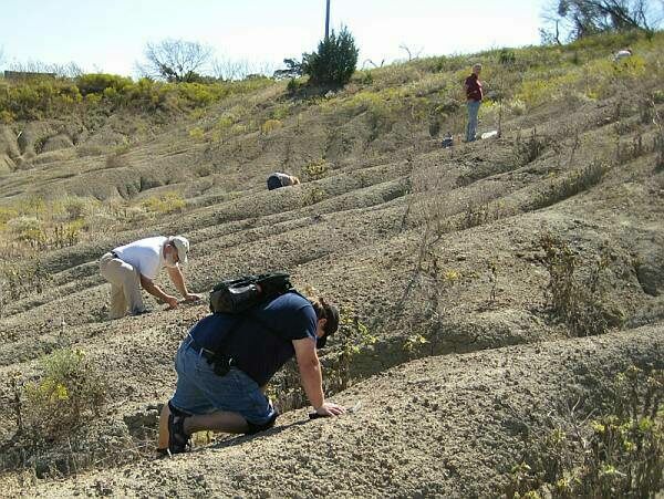 People looking for fossils at Mineral Wells Fossil Park